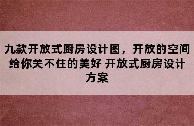 九款开放式厨房设计图，开放的空间给你关不住的美好 开放式厨房设计方案